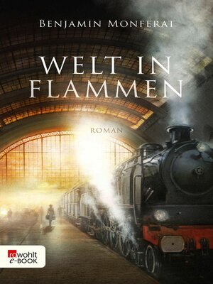 cover image of Welt in Flammen